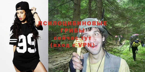 шишки Бугульма