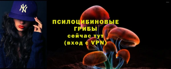 герыч Бородино
