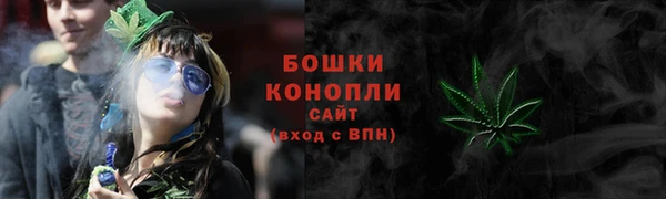 шишки Бугульма