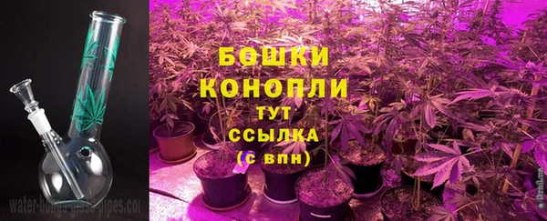 шишки Бугульма